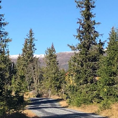 Sykkelhytte Ved Slatten I Synnfjellet Nord Torpa Bagian luar foto